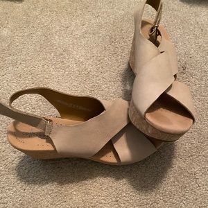 Clark wedges